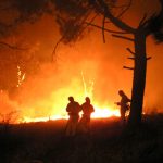 21 años ya de la tragedia que conmovió a toda España: el incendio de la Riba de Saelices que costó la vida a los 11 miembros del retén de Cogolludo (Guadalajara)