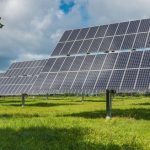 Ecologistas en Acción rechaza la instalación de dos ‘megaplantas’ fotovoltaicas que el ministerio de Transición Energética ha aprobado en la Campiña de Guadalajara ‘por afectar a una zona de muy alta biodiversidad y con especies amenazadas, como el águila imperial’