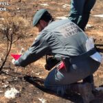 El Seprona investiga al operario de una empacadora de paja como responsable del incendio que calcinó 45 hectáreas de terreno agrícola y monte bajo en Yunquera de Henares el pasado 23 de julio