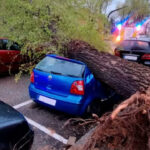 El fuerte viento asociado a la borrasca Nelson derriba un árbol de grandes dimensiones sobre dos vehículos aparcados en la calle Toledo de Guadalajara sin que afortunadamente se produzcan daños personales