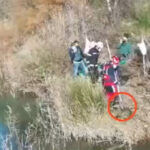 Un detenido y una investigada por maltrato animal por ahogar a un perro: le ataron al cuerpo unas cadenas con dos bloques de hormigón y lo arrojaron a una laguna en Arganda del Rey