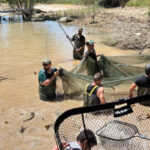 El Ayuntamiento de Sacedón acusa a la Confederación Hidrográfica del Tajo de un atentado ecológico por la muerte de miles de peces al cerrar de golpe las compuertas del canal del trasvase de Entrepeñas a Buendía