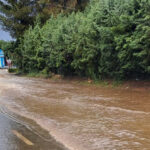 Inundaciones de calles y garajes, caídas de árboles sobre coches y casas y personas atrapadas en vehículos es el saldo que deja la fortísima tormenta que durante 15 minutos descargó lluvia y granizo con fuertes vientos sobre la ciudad de Guadalajara