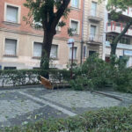 El Ayuntamiento de Guadalajara reprocha a la Junta de Castilla La Mancha que no activara el METEOCAM «a pesar de la virulencia del episodio» de fuerte tormenta que se estaba produciendo en la madrugada de hoy viernes