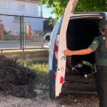 Detenidos en Maranchón tres delincuentes reincidentes que se saltaron un control policial con una furgoneta cargada de hilo de cobre en Rillo de Gallo: recorrieron más de 30 km por la N-211 a gran velocidad y opusieron gran resistencia a su detención