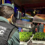 Dos detenidos por un delito contra la salud pública en un control en Pozo de Guadalajara: los delató el fuerte olor a marihuana que salía del maletero del vehículo