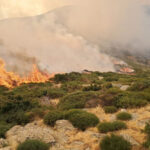 El incendio forestal de la Sierra Norte de Guadalajara sube a nivel 2 y obliga a la evacuación de los municipios de Peñalba de la Sierra y Cabidas y a pedir ayuda a la UME