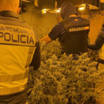 Agentes de cuatro cuerpos intervienen para desarticular una plantación de marihuana en un chalé de Torrejón del Rey: la Agencia Tributaria, la UDYCO de Madrid, la Policía Nacional de Guadalajara y la Local del municipio