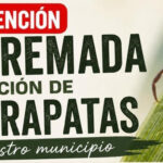 El Ayuntamiento de Berninches (Guadalajara), alerta a sus vecinos del ‘aumento significativo’ de garrapatas en el término municipal, por lo que les pide que incrementen las medidas de precaución