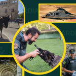 Este sábado 13 de junio, en el Día de las Fuerzas Armadas, la Guardia Civil de Guadalajara hará exhibiciones del servicio de Caballería, drones y búsqueda de personas con los guías y perros del servicio cinológico