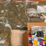 Desmantelada una plantación ilegal de marihuana en un chalé de El Pozo de Guadalajara: hay un detenido y se han incautado 35 kilos de cogollos secos de esta droga
