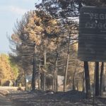 Con el fin de la orden de evacuación de El Ordial y Aldeanueva de Atienza ya no quedan municipios confinados o desalojados por el incendio de la Sierra Norte de Guadalajara