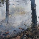Las brigadas forestales centran su labor en apagar los puntos calientes que aún quedan en el incendio de la Sierra Norte de Guadalajara, comarca que ya deja ver la oscura huella que han dejado las llamas a su paso