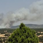 Un nuevo incendio forestal en la provincia de Guadalajara se suma al de la Sierra Norte, esta vez en Selas, en la comarca de Molina de Aragón