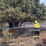 Desciende a nivel 0 y controlado el incendio forestal de El Recuenco que en la tarde de ayer provocó la evacuación de este municipio y el confinamiento de El Pozuelo (Cuenca), mientras que el incendio de Checa se da por extinguido en tan solo 24 horas