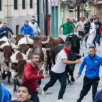 Dos corredores contusionados en el segundo encierro de la Feria de la Antigua de Guadalajara en el que además se ha decidido abrir las puertas de la plaza al público en general para evitar la imagen de cientos de asientos vacíos del primer día
