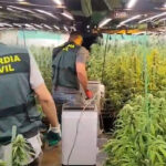 Seis detenidos en una operación contra el cultivo de marihuana en Colmenar de Arroyo que luego se distribuía por municipios de Madrid y Guadalajara como Alcalá de Henares, Villalbilla, Chiloeches, Uceda y El Casar