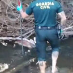 Investigado el propietario de un perro por un delito de maltrato animal: el can apareció muerto entre la maleza del cauce del río Tajuña a su paso por Uceda (Guadalajara) con un fuerte golpe en la cabeza